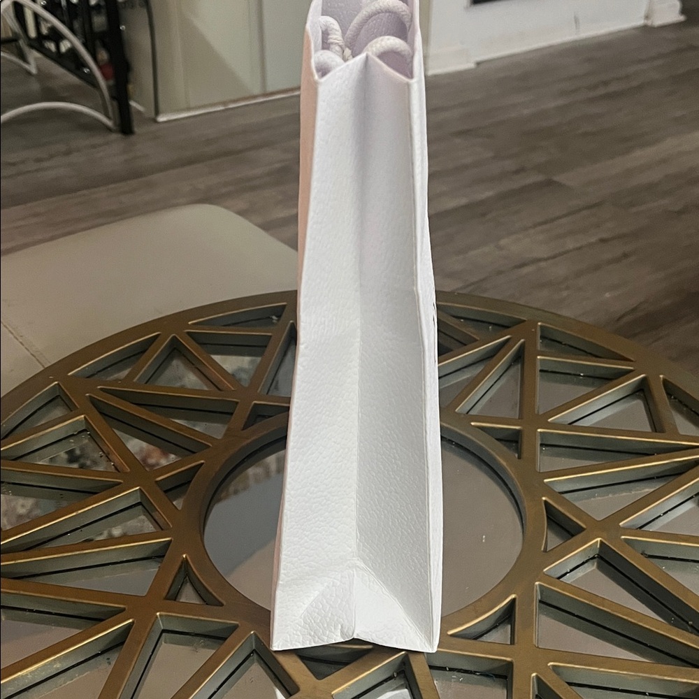 Dior Gift Bag - Picture 8 of 12